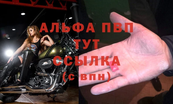 дмт Горняк