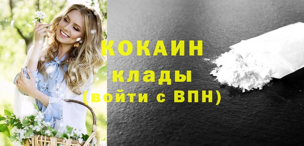 шишки Вязники