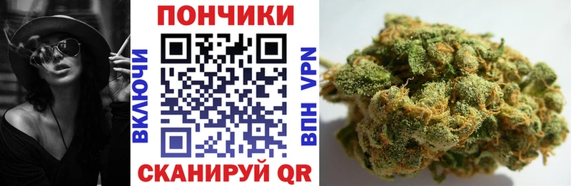 KRAKEN ONION  Жуковка  Каннабис семена  дарнет шоп 